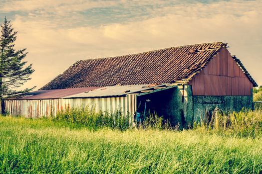 Old barn house surrounded by tall grass