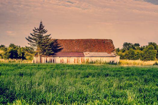 Countryside scenery with an old and weathered barn