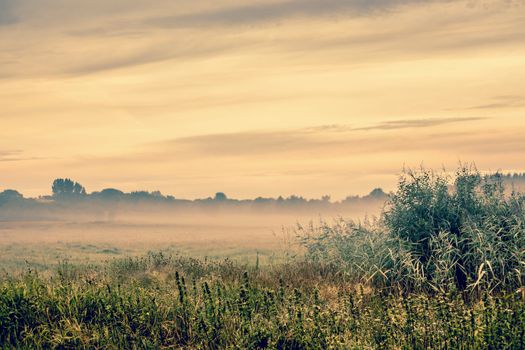 Sunrise over a misty landscape scenery