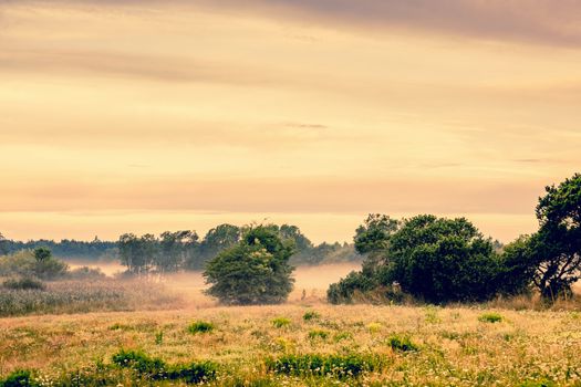 Countryside landscape with misty weather