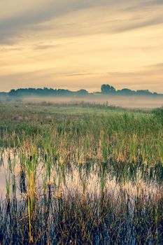 Misty landscape with a quiet lake and green fields