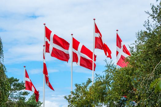 Six danish flags on flagpoles on a summers day