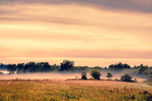 Misty landscape an early morning at a countryside