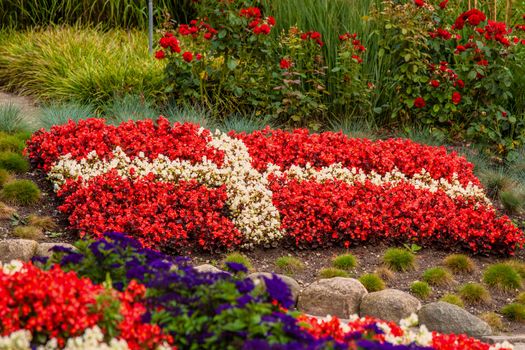 Flower garden with red and white flowers illustrating the danish flag