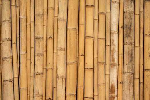 Asian bamboo background surface in vertical alignment