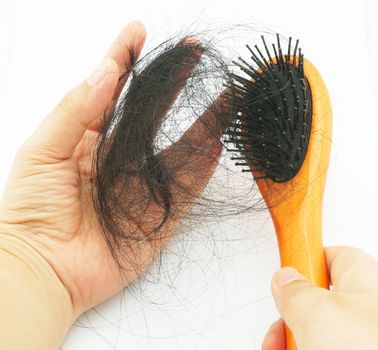 Many hair, fall out of your head after combing hair.                               