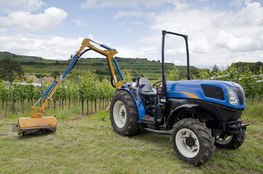 Blue Tractor in the Vineyard