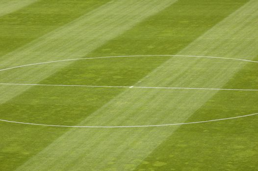 Detail of Soccer Field Grass in a Stadium