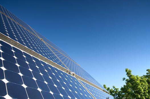 Solar Panel Against Blue Sky With Green Tree