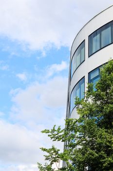 Modern office building mirrored windows and tree against blue sky as background with copy-space free place for text