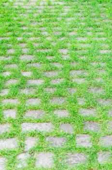 Paved cobbles stones and overgrown with grass pathway in the forest stretches into the distance