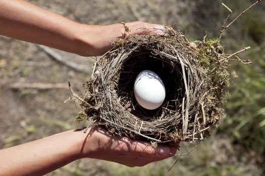 Hands holding nest with egg. Nature background.