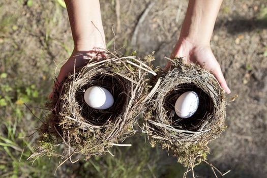 Hands holding nest with egg. Nature background.