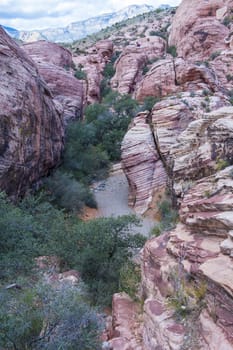  The Red Rock canyon near las vegas , Nevada.