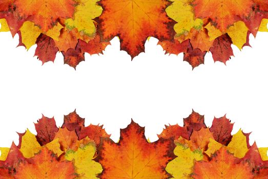 autumn frame