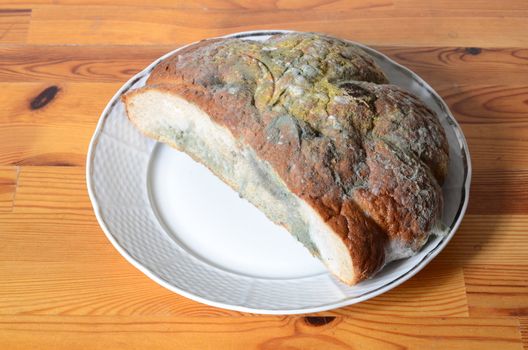 moldy bread