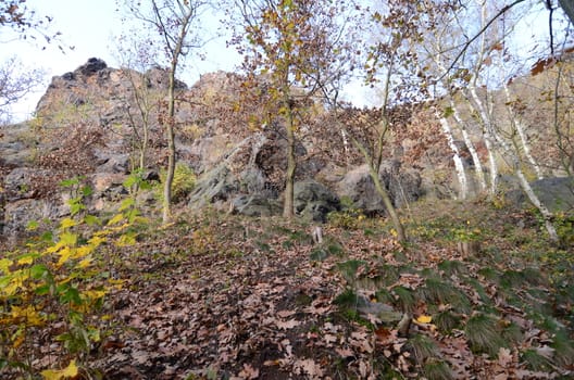 Wild Sarka, Prague