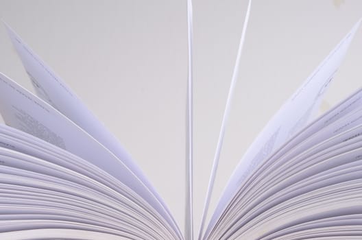 opened book detail 
