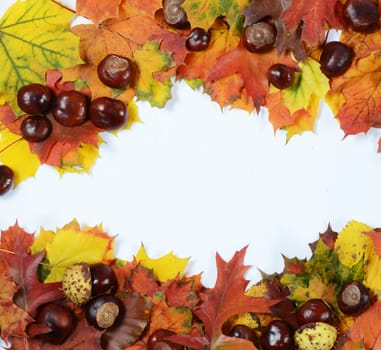 autumn frame