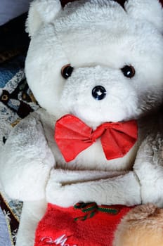 teddy bear