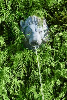 Stone lion head with fountain in green tropical plants