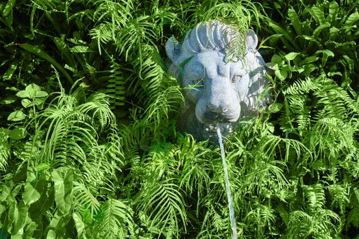 Stone lion head with fountain in green tropical plants