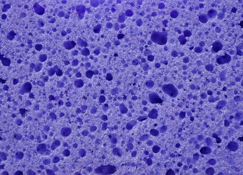 Porous texture of sponge purple                                 