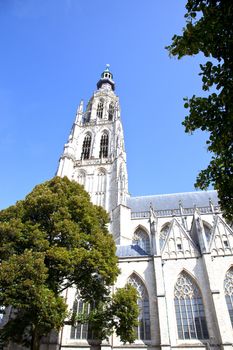 View at large cathedral of Our Lady in Breda, The Netherlands