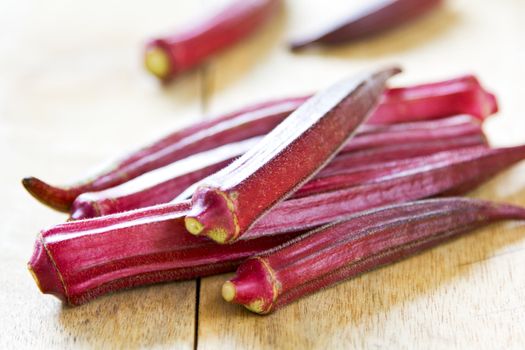 Okra  also known as Lady's fingers or Gumbo