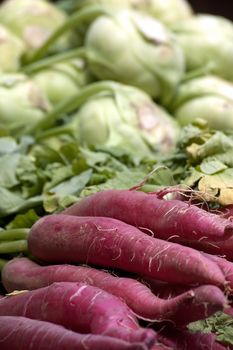 Fresh Radishes And Kohlrabi Cabbages At The Local Market