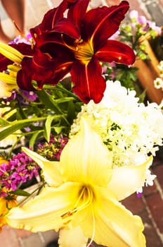 colorfull flowers exhibited in a market in the Usa