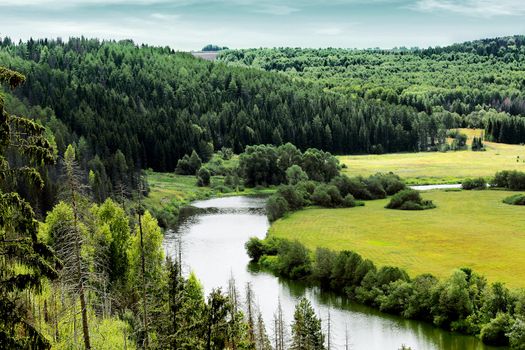 scenery with pine forest, river and fields