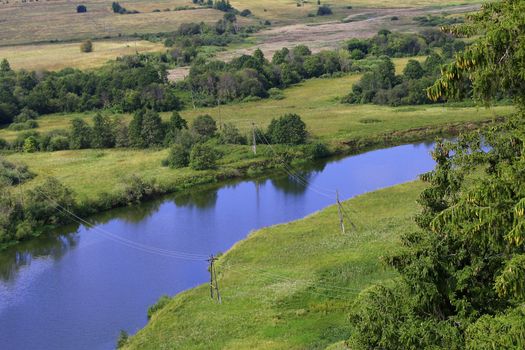 scenery with pine trees, river and grass