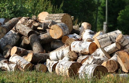 Dry chopped firewood logs in pile. Nature background. 