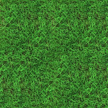 Green grass seamless texture
