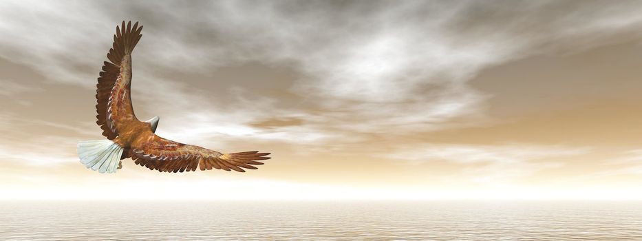 Bald eagle flying in brown sky - 3D render