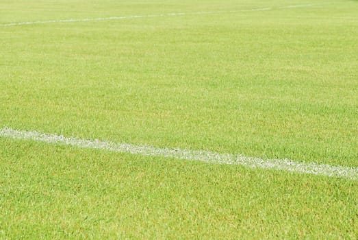 Green grass soccer field