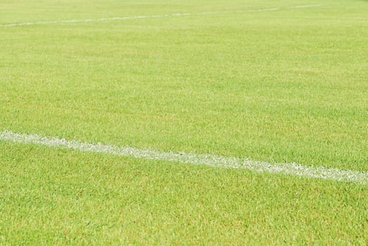 Green grass soccer field