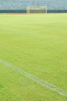 Green grass soccer field