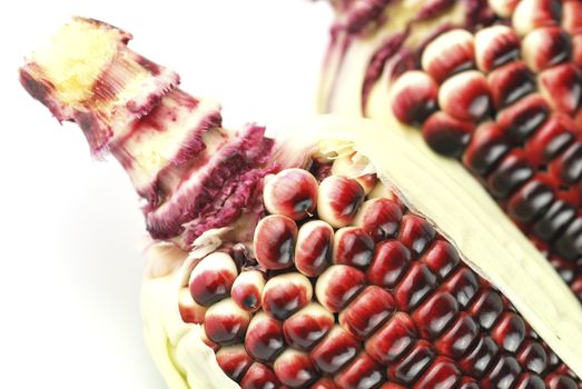 Harvested corn in red and purple colors