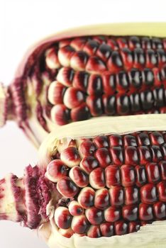 Harvested corn in red and purple colors