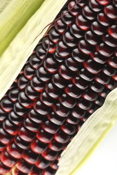 Harvested corn in red and purple colors