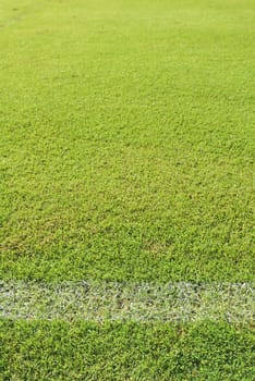 Green grass soccer field