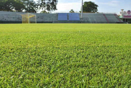 Goal and Green grass soccer field focus on grass