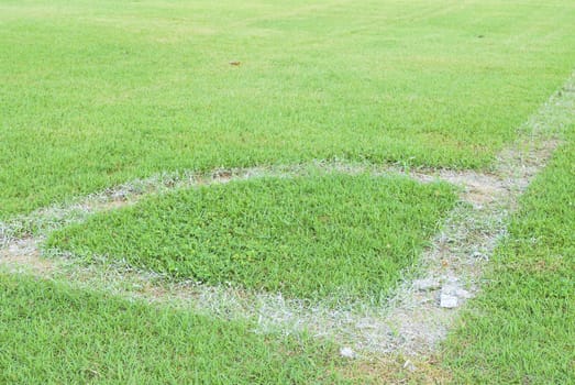 Green grass soccer field