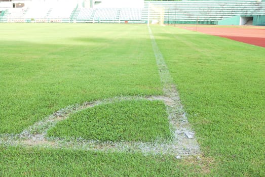 Green grass soccer field