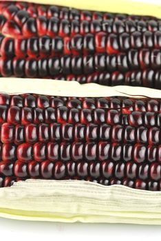 Harvested corn in red and purple colors