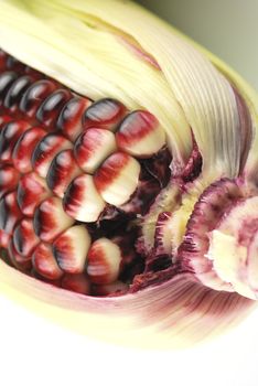 Harvested corn in red and purple colors