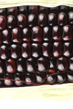 Harvested corn in red and purple colors