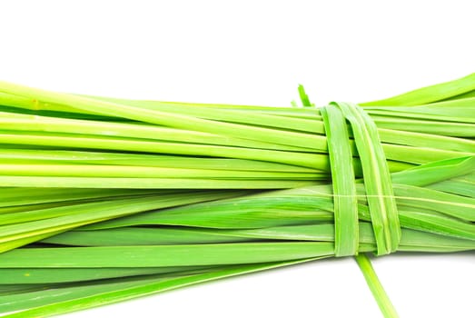 Lemon grass leaf